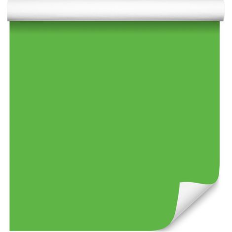 Papier peint uni vert pour salon et chambre 50x1000 cm (1/5)