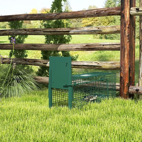 Piège Animaux Vivants Porte Cage Métallique Capture Poignée Petits Lapins Visons Foncé Compagnie Vert 60x18x20cm