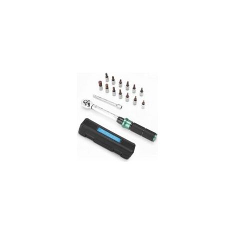Chiave dinamometrica preimpostata 2-24 Nm - Set da 15 pezzi, inclusi inserti a cambio rapido e custodia - Crezuo