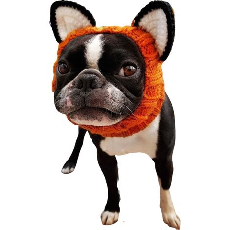 Snood tricoté en forme de renard pour chien avec oreilles - Couvre-cou et tête chaud, accessoire idéal pour l'hiver et Halloween (1/5)