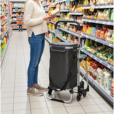 Carrello della spesa 40 L a 3 ruote con sedile, alluminio, grigio scuro OKMYHOME (1/5)