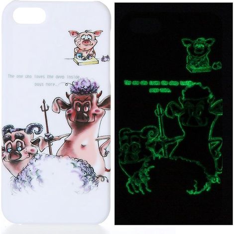 Protective Case for iPhone 5 (1/5)