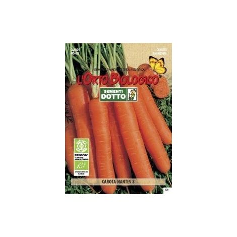 SEMENTI CAROTA NANTES 3