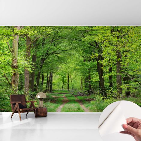 Selbstklebend Tapete - abwaschbar - Raumgestaltung Schlafzimmer Wohnzimmer Tapete Waldweg 416x254 cm (1/5)