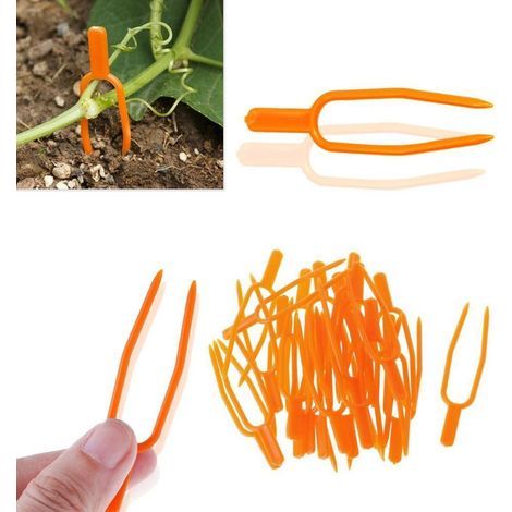 Packung mit 100 Pflanzenclips für Kletterpflanzen – 6 cm Pflanzenclips, Gartengeräte, Kletterpflanzenzubehör, Erdbeergabeln, landwirtschaftliche Clips, Pflanzenstützen (orange) (1/5)