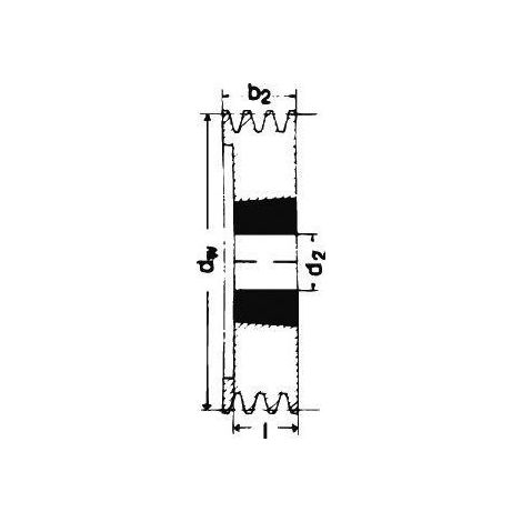 Puleggia otturatore completo d.dd 2 scanalature