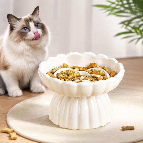 Gamelle Anti Glouton Chat Céramique Surélevée (1/5)