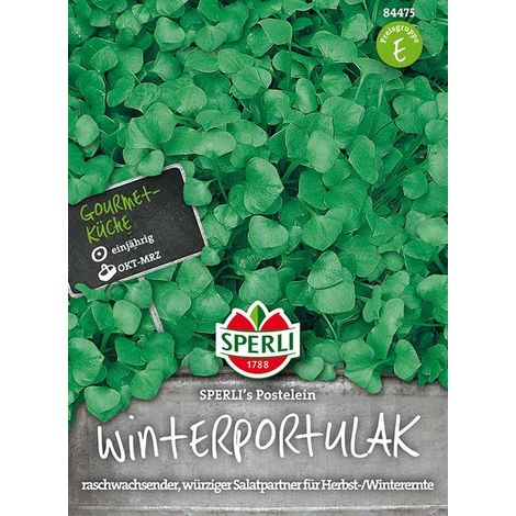 Sperli Winterportulak Postelein - Saatgut, Große Tüte (1 Portion) (1/4)