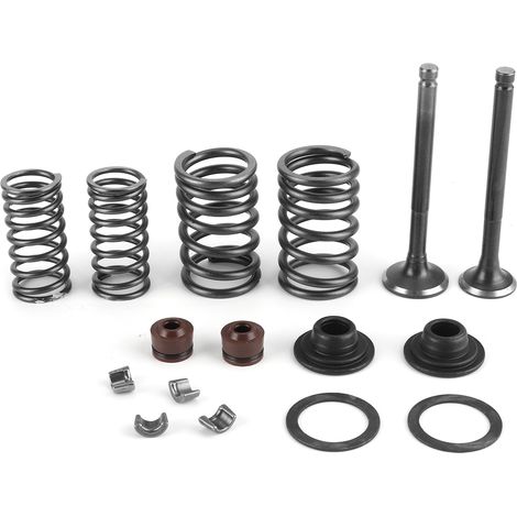 16-teiliger Motorventilfeder-Bausatz, Metallpolitur, passend für Gy6 50 60 80 100 125. Anspruchsvolle Verarbeitung, hergestellt aus hochwertigem Metall, ca.