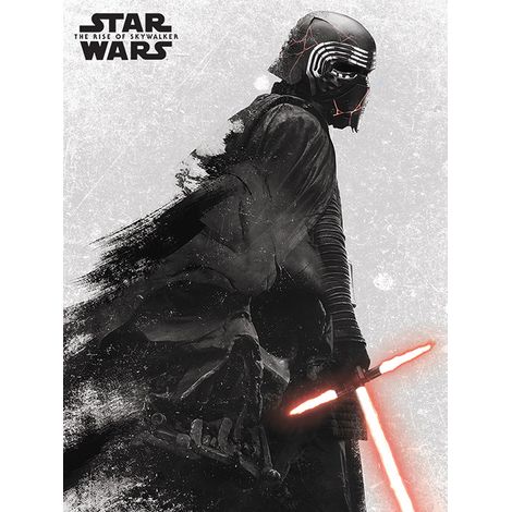 Funko Pop - Star Wars (Episode 9) - Lienzo 30X40 (Windows)