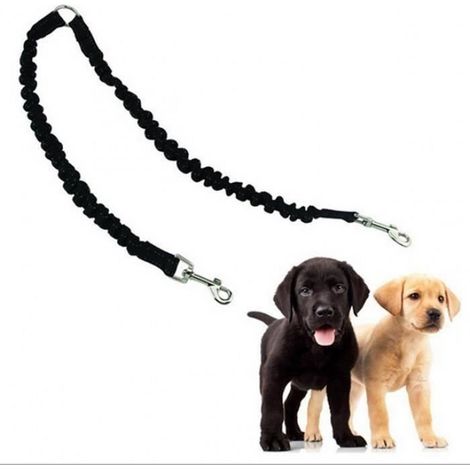 Laisse pour Chien - BH - Réglable - Mains-libres - Nylon - Couleur Noir