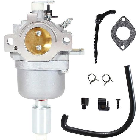 Carburateur - Pour Moteurs Briggs & Stratton - Compatible Modèles 795366 594601 695353 697216 698945 - Pièce de Remplacement ×1 (1/5)