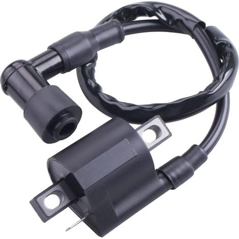 Bobina de encendido compatible con Yamaha PW 50 PW50 1981-2009 PW 80 PW80 1981-2009 (1/5)