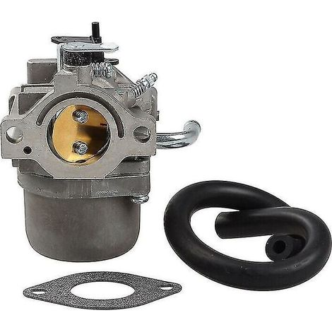Carburateur moteur pour Briggs & Stratton 796077 590399 M105-77, compatible Mc Culloch et Dunmuan, pièces de rechange pour moteur de jardin (1/5)