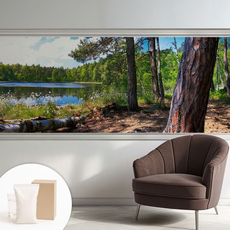 Papier peint avec colle pour décoration moderne de salon chambre à coucher cuisine et bureau Facile Paysage forestier 250x104 cm (1/5)