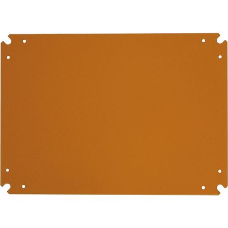 Platine de montage RS PRO à utiliser avec Boîtier 600 x 500 ( Prix pour 1 )