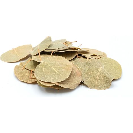 BioCoin Leafs Foglia di moneta 15g (1/5)