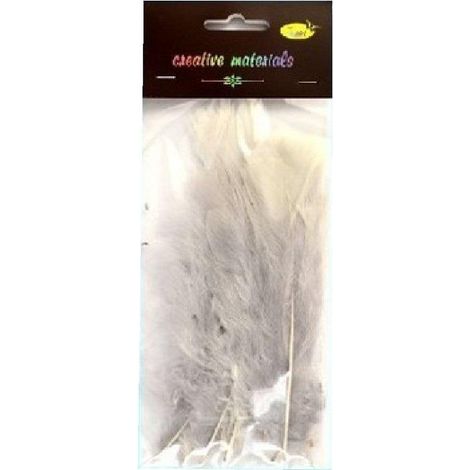 Plumes douces gris clair, 15 pièces