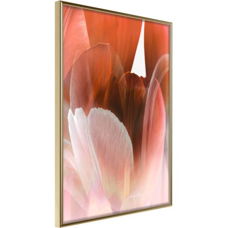 Affiche Murale Encadrée "Tulip Petals" 30 x 42 cm Or
