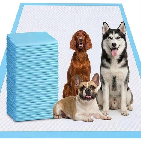 Lot de 40 tapis hygiéniques pour chiots XXXXL - 78,7 x 119,4 cm - Extra large - Anti-fuites et super absorbants - Tapis d'apprentissage de la propreté pour chats et lapins - 78,7 x 119,4 cm (1/5)