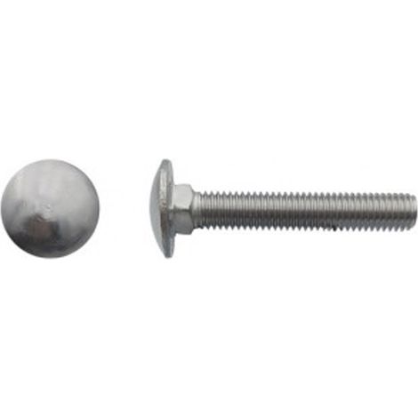 Vis tête ronde collet carré (TRCC) Inox A2 - 5 x 16 mm - BIVI (1/2)