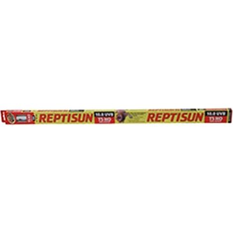 Zoomed T6016839 Lampada Reptisun
