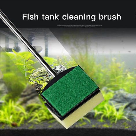 Brosse pour crevettes d'aquarium de 57 cm, couleur aléatoire, pour poissons, livraison directe, piscine, outil de nettoyage portable, éponge double face (1/2)