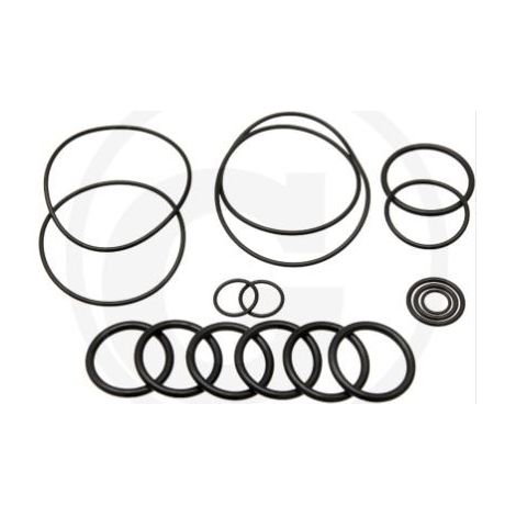 O-Ring-Satz für Membranpumpe BHA 130 AP C/C ANNOVI 6702446