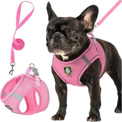 Beyamis Ensemble harnais et laisse réfléchissants en maille respirante pour chien, rose, taille M