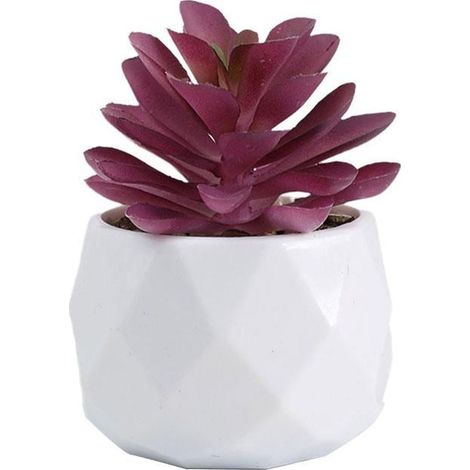 Plante Succulente Artificielle - En Silicone - Pour Intérieur Extérieur - Hauteur 7 À 14 Cm - Avec Pot - 1 Pièce (1/5)