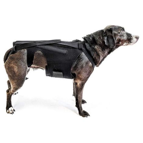 Rückenorthese (Größe S) für kleine Hunde, Arthritis, Erholung nach Wirbelsäulenoperationen, Bandscheibenvorfälle, gleitende Bandscheiben, Rehabilitation - Dackel, Corgis (1/5)