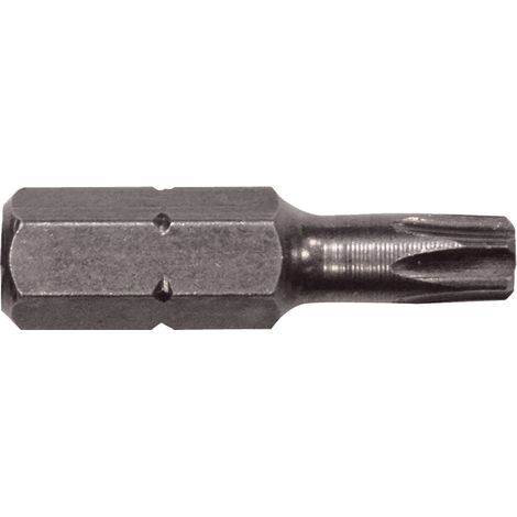 INSERTI PER VITI IMPRONTA TORX TX 20 x 25 mm - cf.10 pz  - ECEF