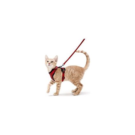 Harnais avec laisse pour chats, Harnais et laisse pour chats, Harnais réglable pour chatons, Collier harnais pour chats, Gilet respirant, Pour chat européen, chat persan (rouge, S)