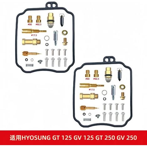 Vergaser-Reparatursatz passend für HYOSUNG GT 125, GV 125, GT 250 und GV 250