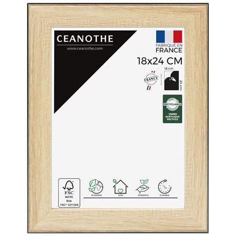 Ceanothe Newton cornice fotografica nera 29 x 23 cm moderna