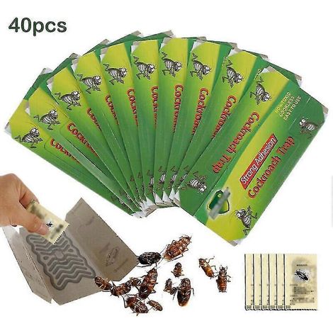 10-40 pièges à cafards collants pour insectes rampants - Produit professionnel - Couleur : 40 pièces (1/4)