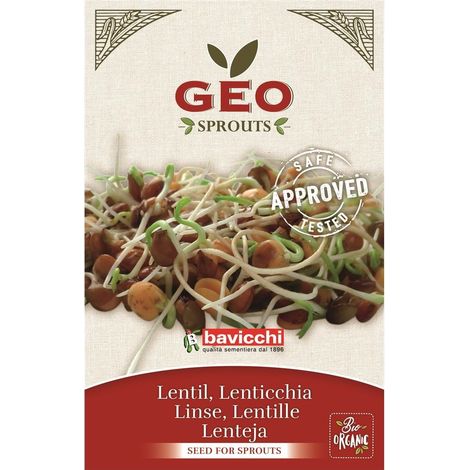 Germogli di Lenticchia Bio Geo Bavicchi (1/2)