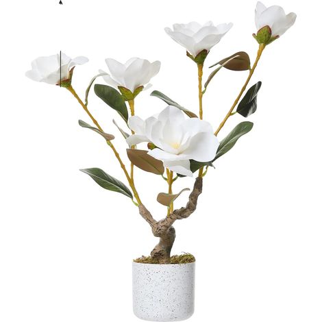 Orchidée artificielle et arbre de magnolia, fleurs réalistes, décoration élégante, Blanc 60cm (1/2)