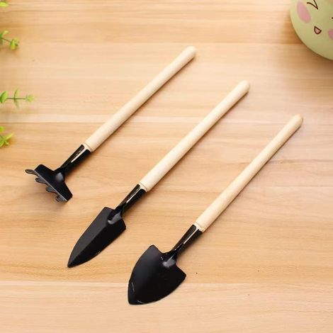 QAZQA Set of Mini Garden Tools Outils de Jardinage, 3Ensemble d'outils Jardin Kits Jardinage Outillage Ensemble pour Plantes Succulentes Semis Bonsaï, Noir