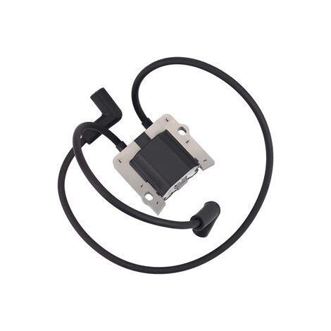 Bobina de encendido S-giant compatible con 5258401 52-584-01-S 5258402 (1/2)