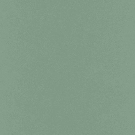 Liasse Décor Vert Menthe Panneau Décoratif Uni Vert Menthe Pour Intérieurs. - Générique (1/5)