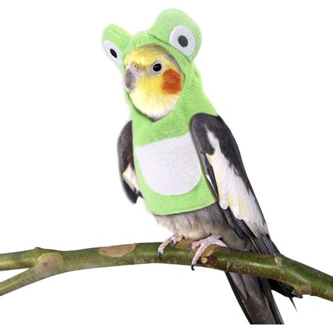 Vogelbekleidung für Haustiere – Bequemer und strapazierfähiger Fluganzug für Kleintiere (1/5)