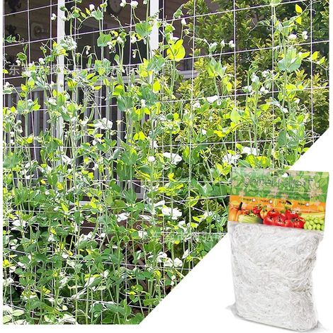 Kaelt - Filet pour Plantes Grimpantes, Grande Maille Filet Tuteur, Grimpante en Polyethylene Filet de Treillis, pourTomates, Raisins, Concombres, Autres Fruits et Légumes (1,67 MX 5 m), Blanc (1/5)