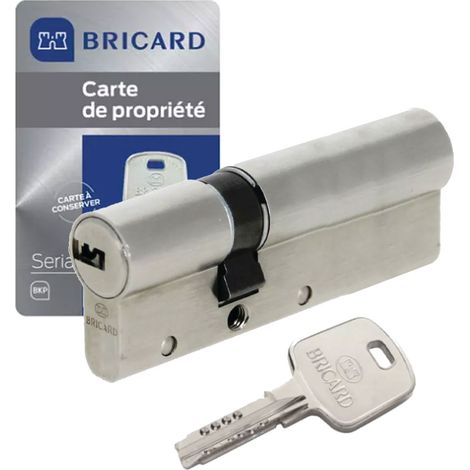 Cylindre porte double entrée 35 x 55 mm serrure à barillet 4 clés Serial W10 BRICARD (1/5)