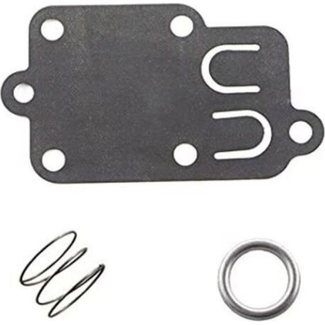 Kit de réparation pour carburateur Membranes Joint détanchéité pour Briggs & Stratton 3 à 5 CV HP 495606 494 (1/5)