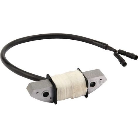 Bobina di carica da 12 V 3 A HONDA 31630ZJ0881 (1/2)