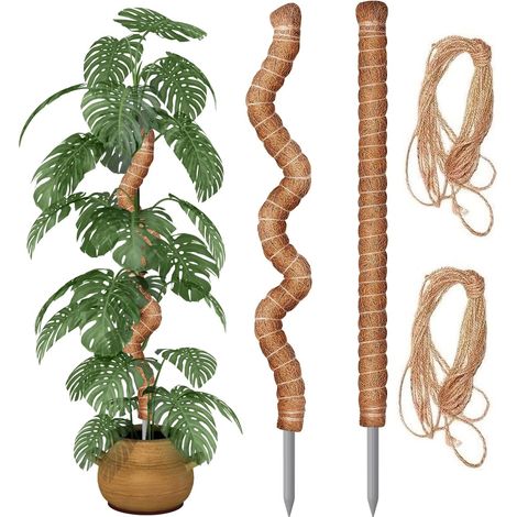 Filiyano-2 tuteurs en mousse flexibles de 90 cm avec 2 cordes en chanvre de 2 m, tuteurs en cocotier pour plantes grimpantes, Ga (1/5)