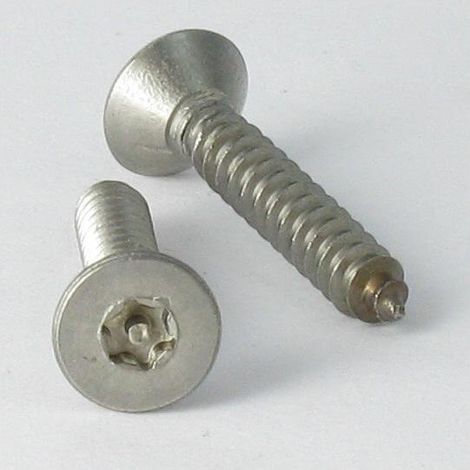 Vis tôle Inviolable Inox A2 Tête fraisée TORX T25 avec téton 4.8X50-30 pièces