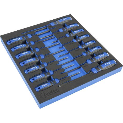 Jeu de tournevis  Insert en mousse 2/3  15 pièces  Fente  Croix PH  Profil en T pour Torx (1/5)