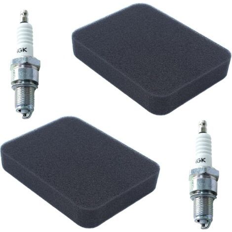 17211-899-000 Filtre à air pour moteur Honda GX240 GX270 GX340 GX390 EB3000 EB3500 EB3800 EB4000 EB5000 EB6500 EM3000 EM3500 EM3800 EM4000 EM5000 EM6000 EM6500 EMS4000 EMS4500 Générateur (1/4)